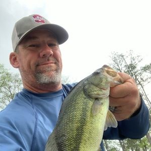 Meet your Posher, Frankie